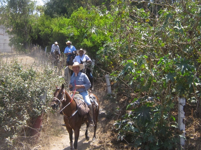 Paseo a caballo por el desierto