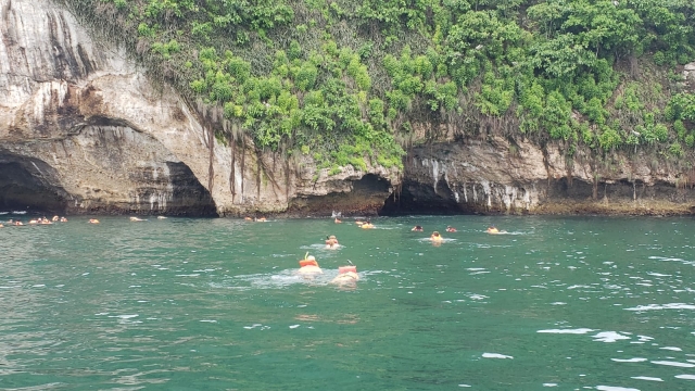 snorkel puerto vallarta