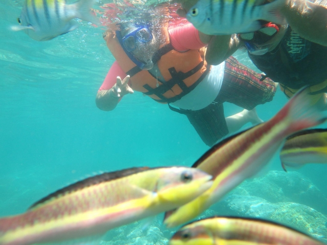 Explorando bajo el mar