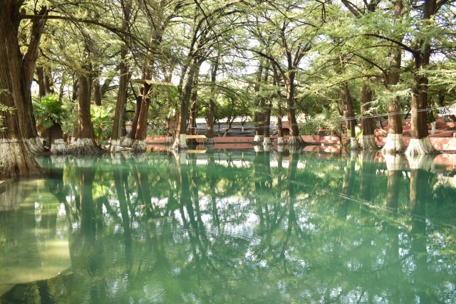 Laguna natural