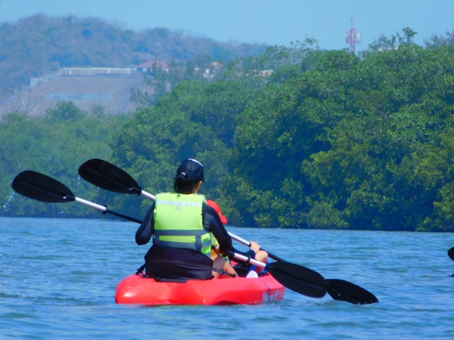 visita guiada en kayak