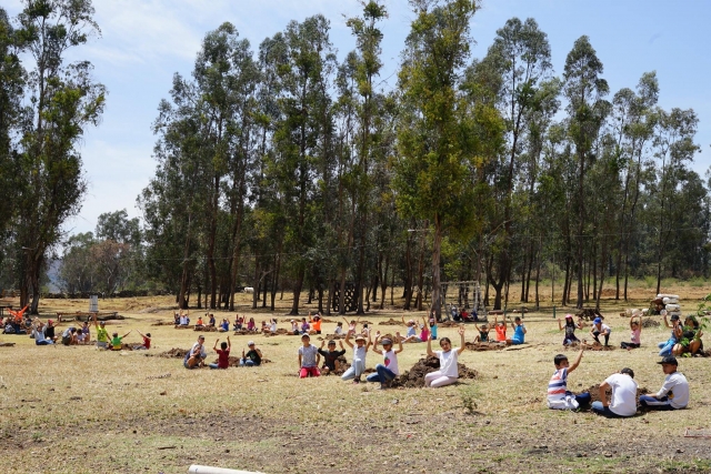 Actividadererererereres en el bosque