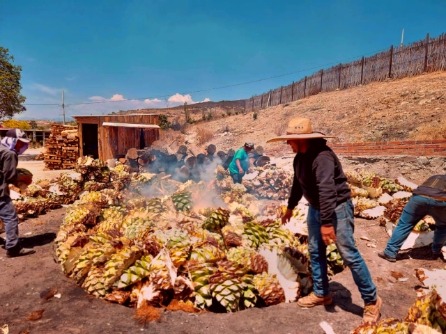 Fabricación de mezcal