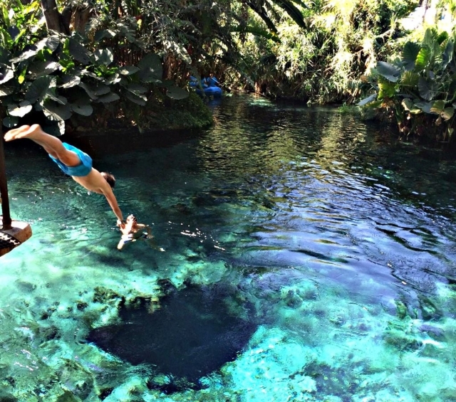 Salto al agua