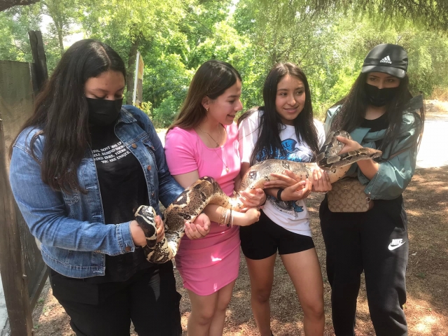 Cargando una serpiente