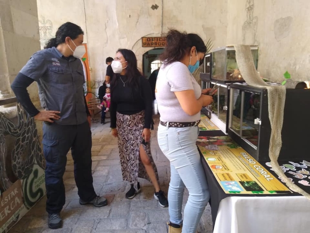 Herpetario y camping