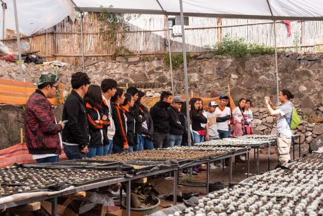 Taller de plantas