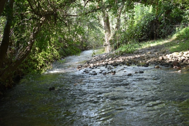 Naturaleza y paisajeres