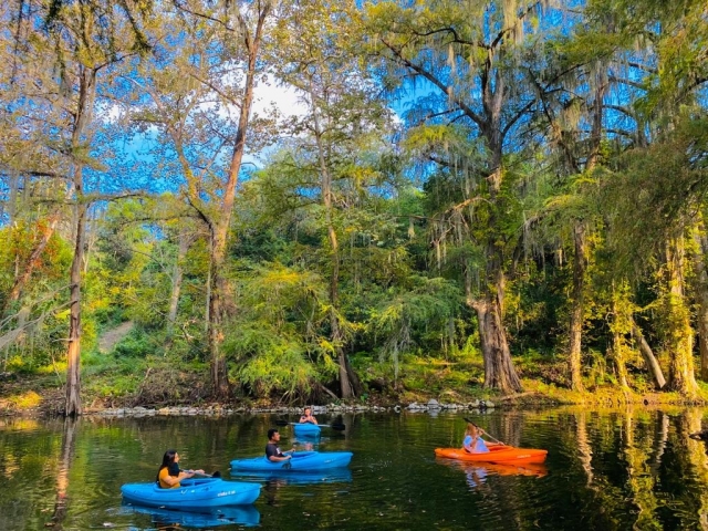 Kayaks, cabaña y piscina en Río San Juan 1 noche