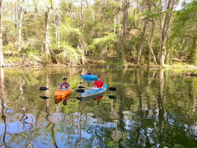 Remando en el pantano