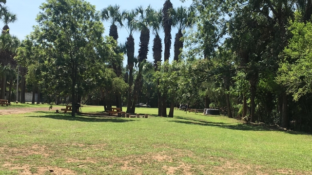 Áreas verderes