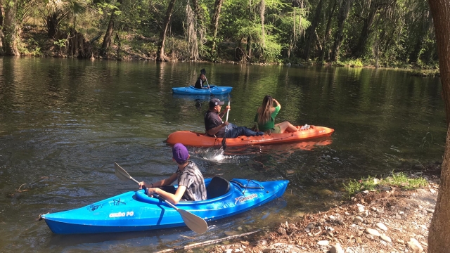 Recorrido en kayak