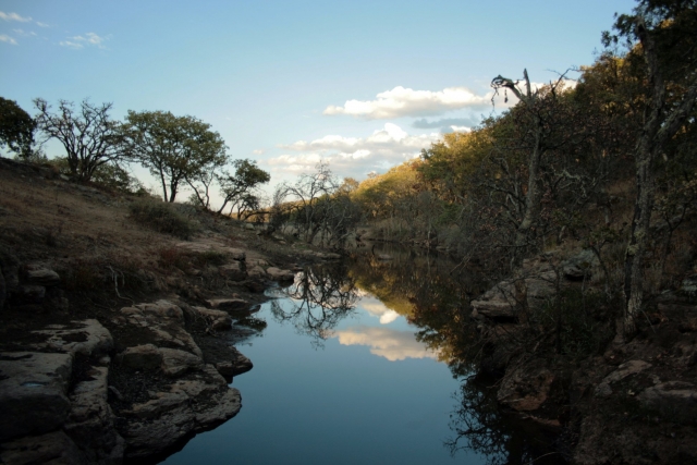 Naturaleza y rio
