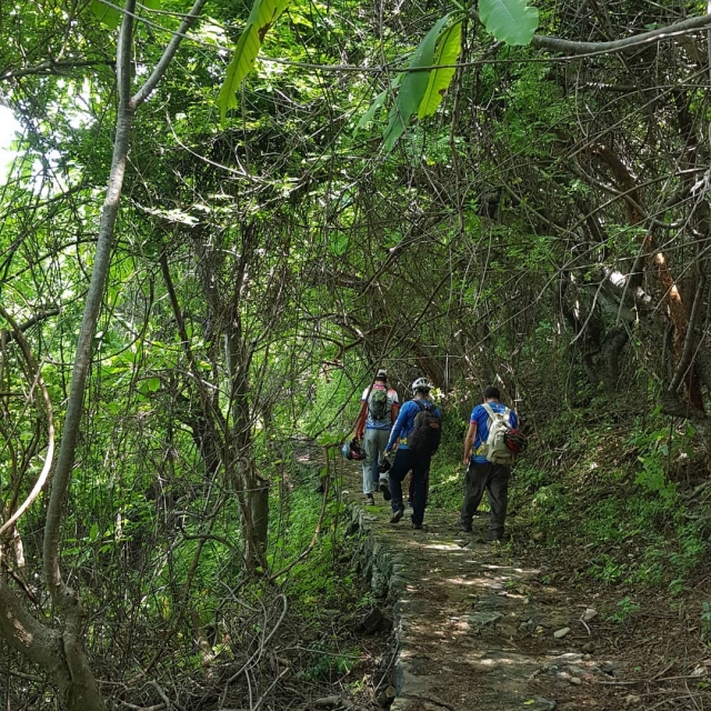 Senderismo entre selvas