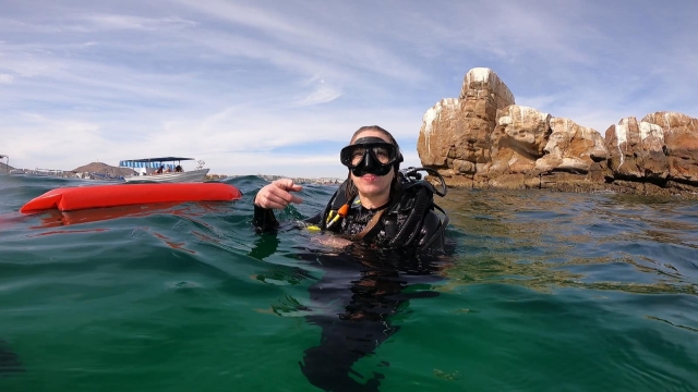 Disfrutando del buceo