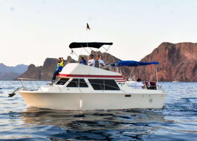 Practica pesca deportivas