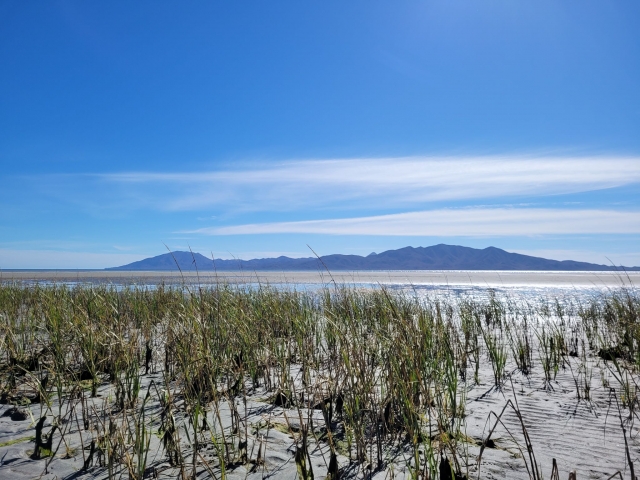 Dunas