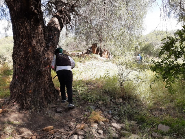 Paintball en el bosque