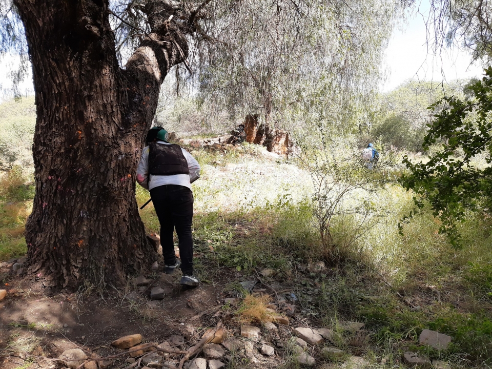 Paintball en el bosque