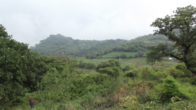 Senderismo en el bosque