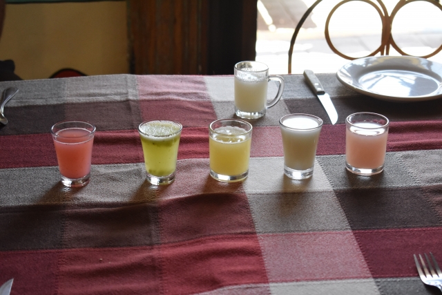 Degustación de bebidas