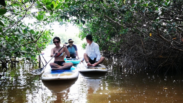 PASANDO ENTRE TÚNELES DE MANGLAR