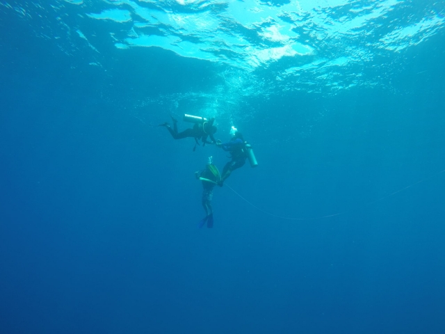 Buceo para profesionaleres
