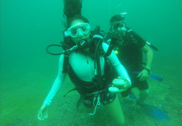 Excursión de buceo