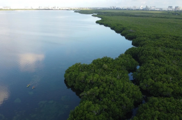 Vista hacia la laguna