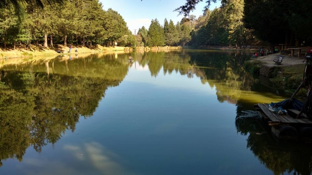Disfruta del lago