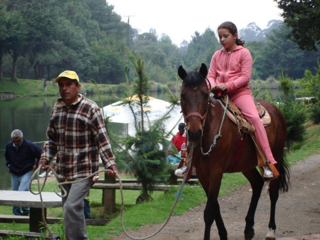 Paseo a caballo para ninos