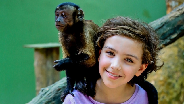 interaccion con monos