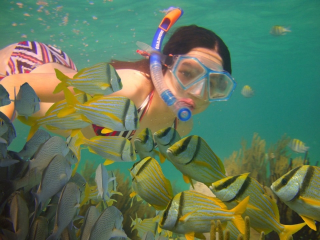 Snorkeleando