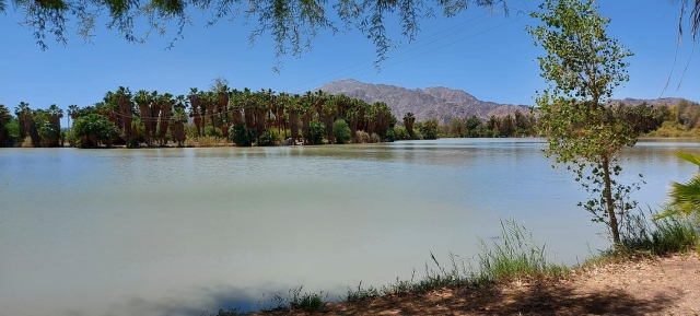 Vistas hacia la laguna