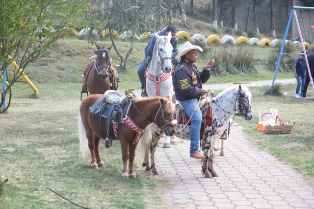 ponys