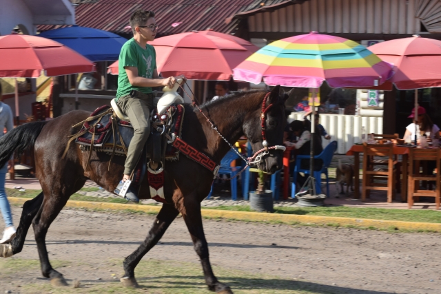 Recorrido guiado en caballo