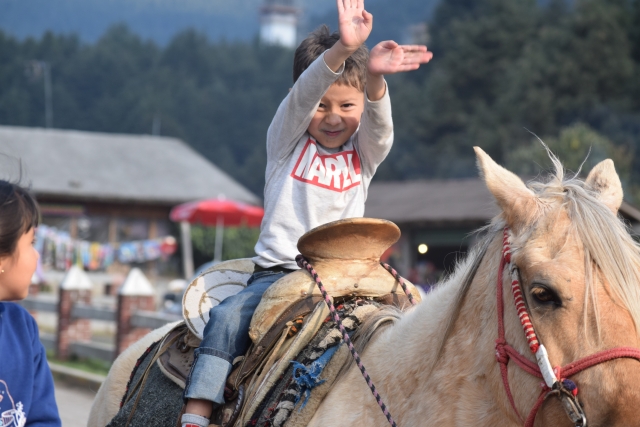Caballo con niño