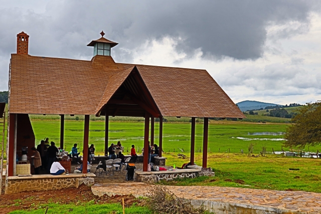 Palapa en jardineres