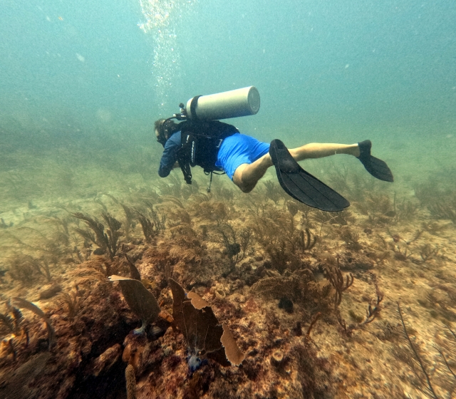 Buceo en ojo de agua