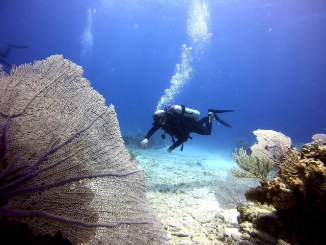 nadando en ojo de agua