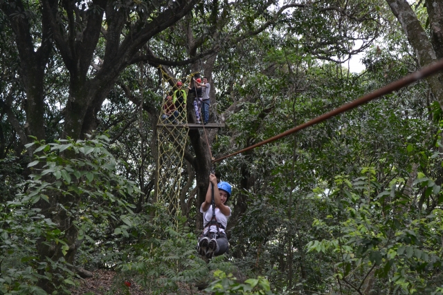 Tirolesas y puenteres