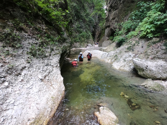 Nadando en la barranca
