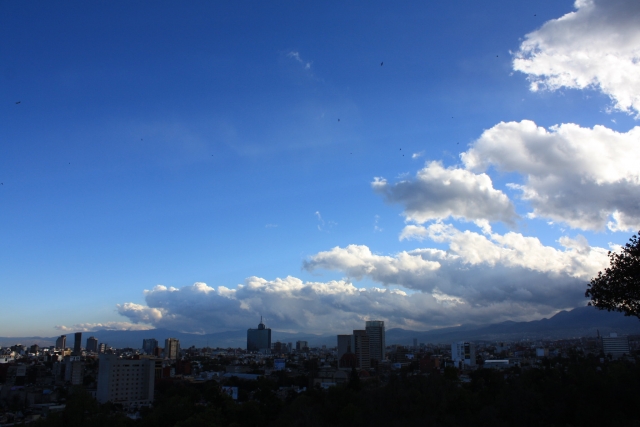 Viendo la ciudad desde las alturas