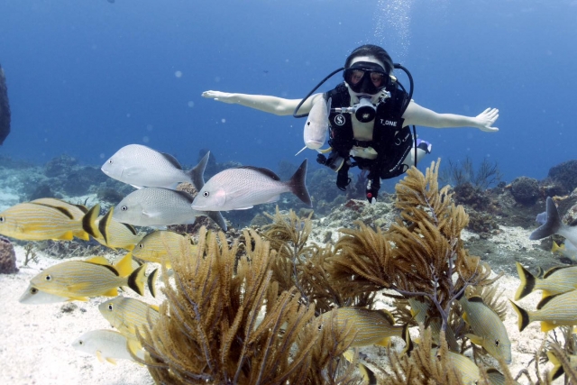 Descubre el buceo