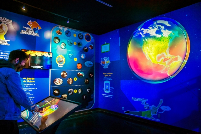 acuario interactivo
