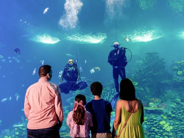 Entrada a Gran Acuario Mazatlán precio para niños