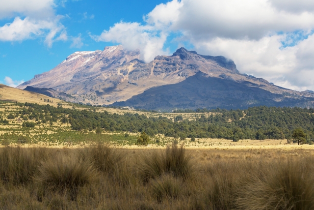 Recorrido guiado al volcán