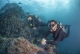Bautismos de Buceo Cabo San Lucas