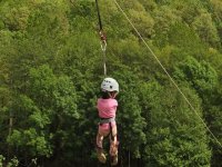  Small Veterinarians Zip-line 