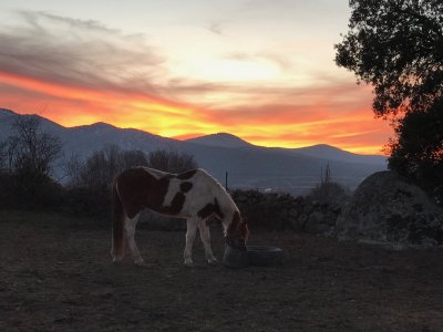 Horse Taming in Los Ángeles de San Rafael